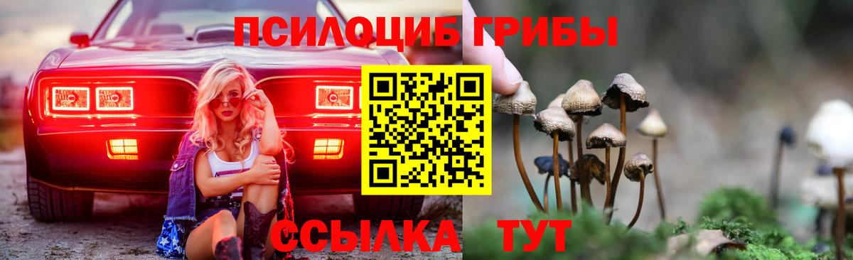 Псилоцибиновые грибы прущие грибы Белореченск